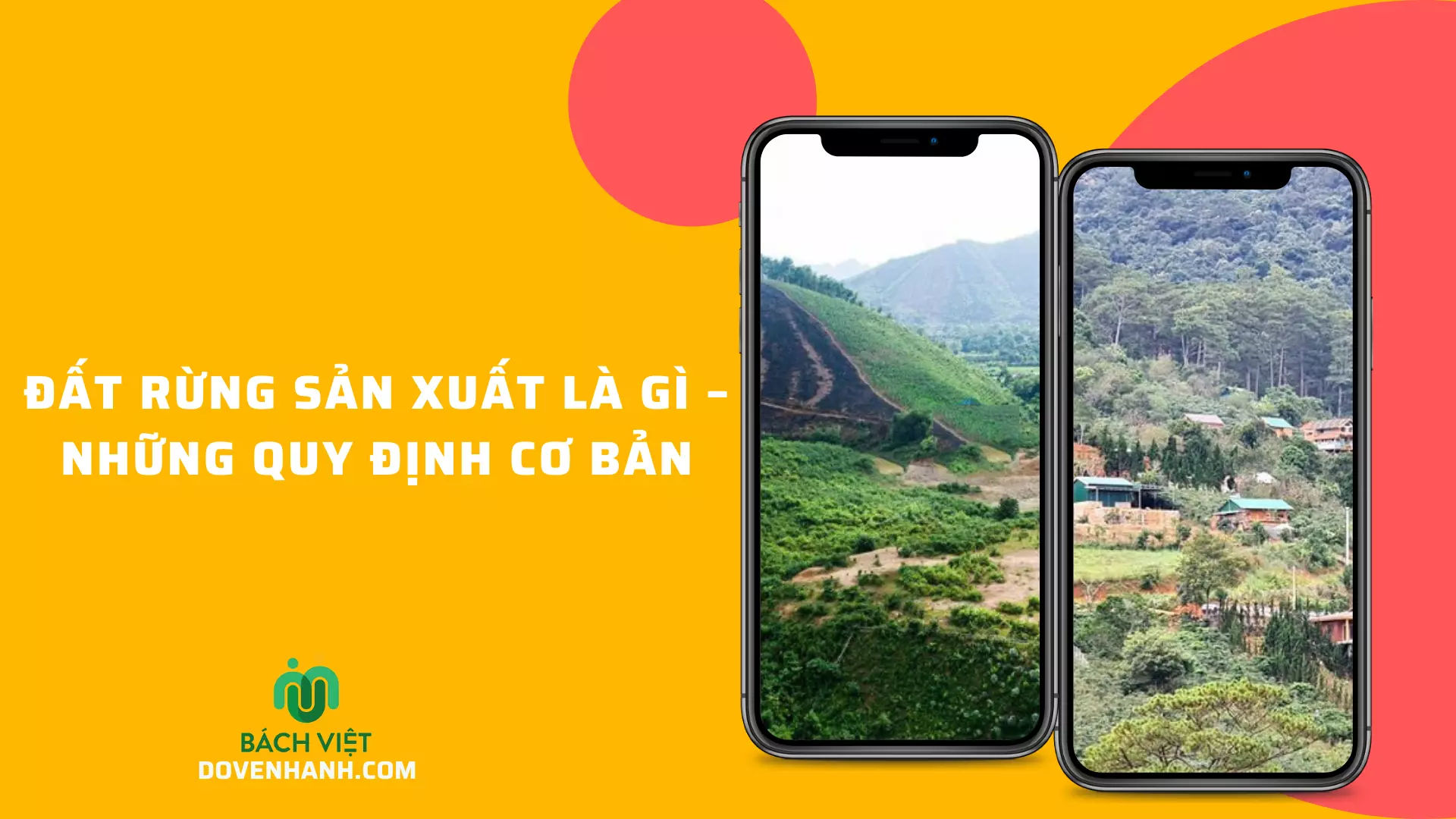 Đất Rừng Sản Xuất Là Gì - Những Quy Định Cơ Bản Đất Rừng Sản Xuất Là Gì – Những Quy Định Cơ Bản