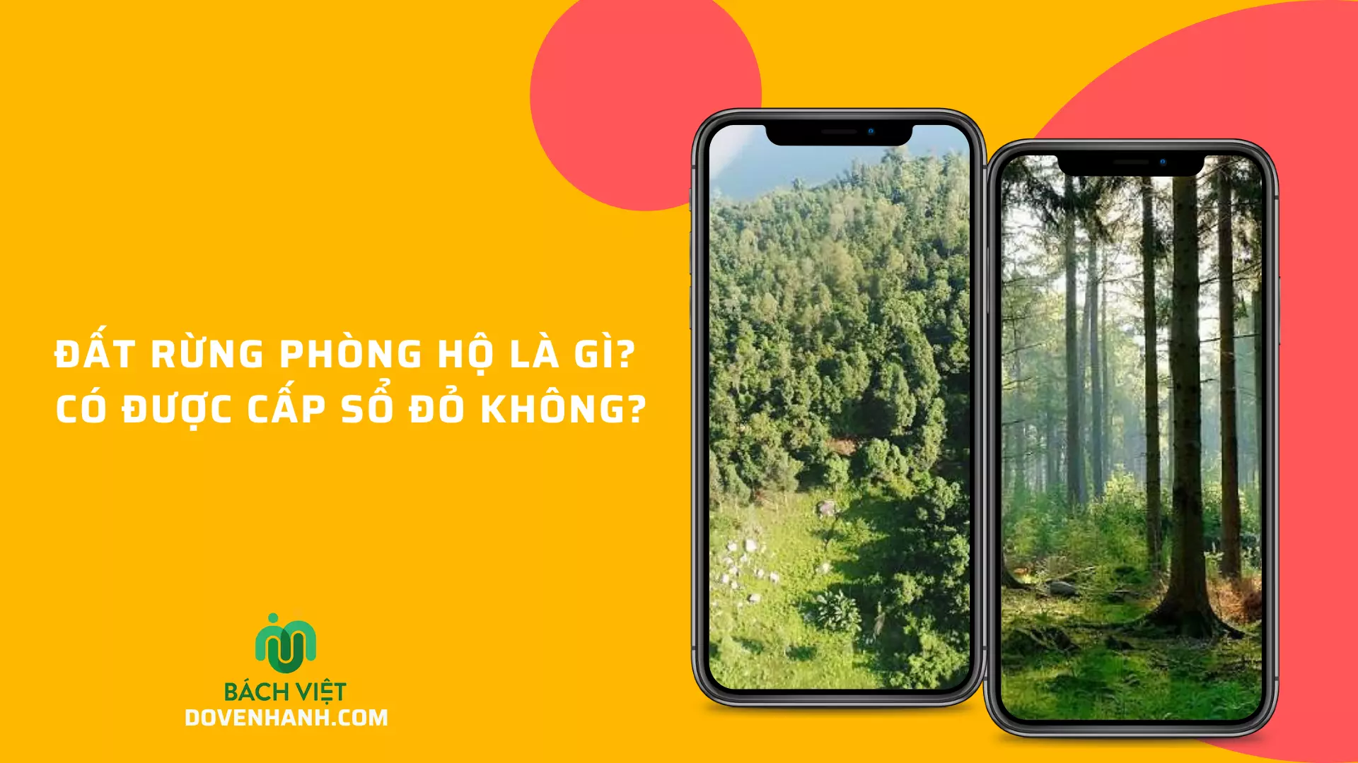 Đất Rừng Phòng Hộ Là Gì? Có Được Cấp Sổ Đỏ Không? Đất Rừng Phòng Hộ Là Gì? Có Được Cấp Sổ Đỏ Không?