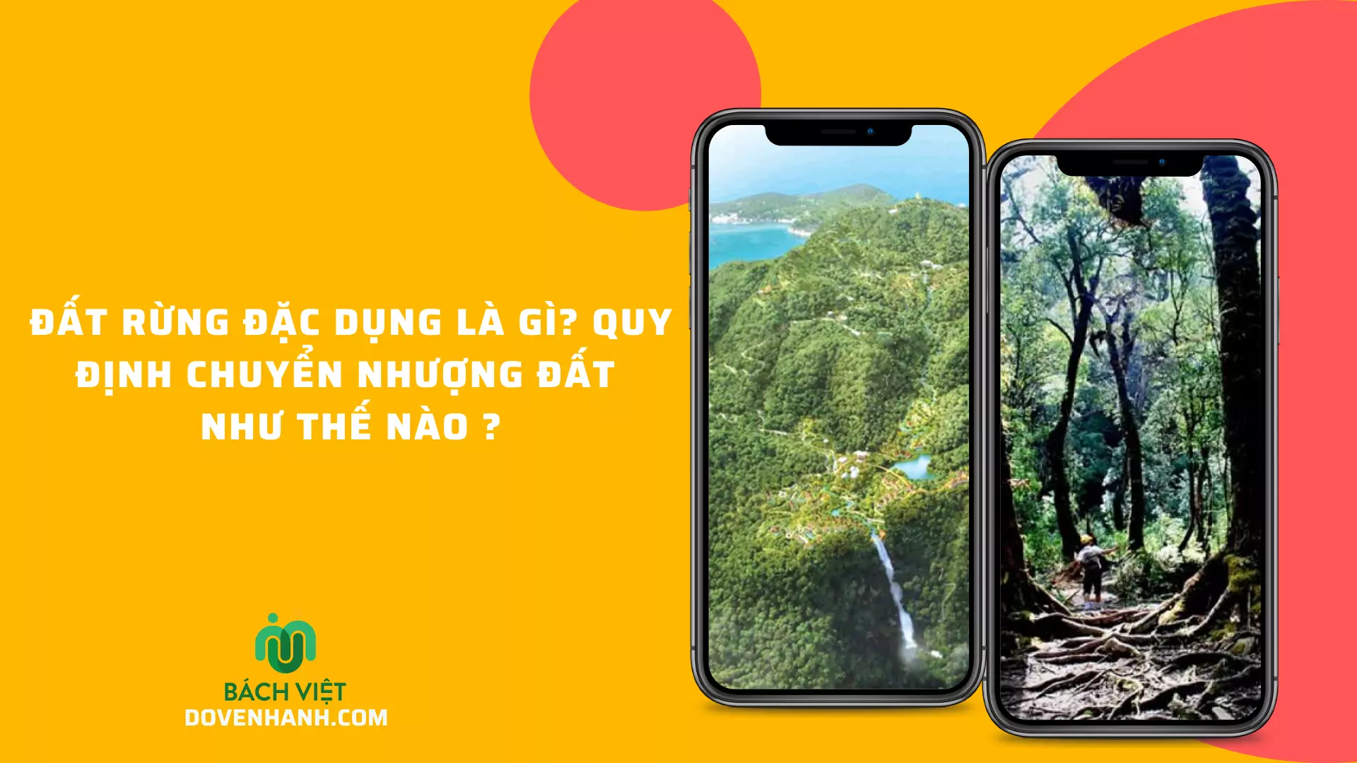 Đất Rừng Đặc Dụng Là Gì? Quy Định Chuyển Nhượng Đất Như Thế Nào? Đất Rừng Đặc Dụng Là Gì? Quy Định Chuyển Nhượng Đất Như Thế Nào?