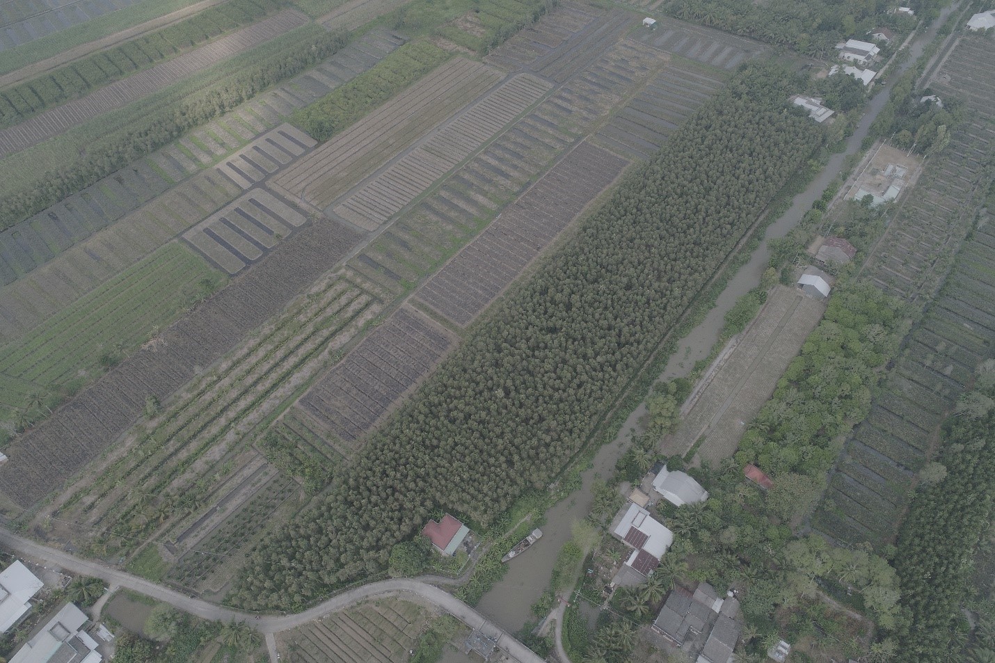 Giám sát nông nghiệp bằng UAV tại Hậu Giang 1 Giám sát cây trồng bằng máy bay không người lái UAV/ DRONE/ FLYCAM