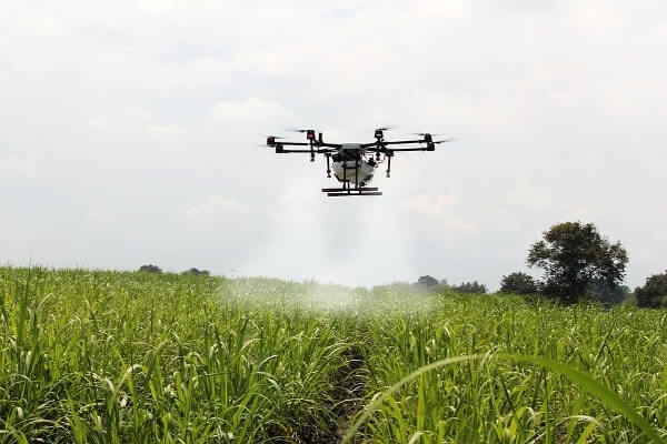Ứng dung UAV để phun thuốc diệt cỏ