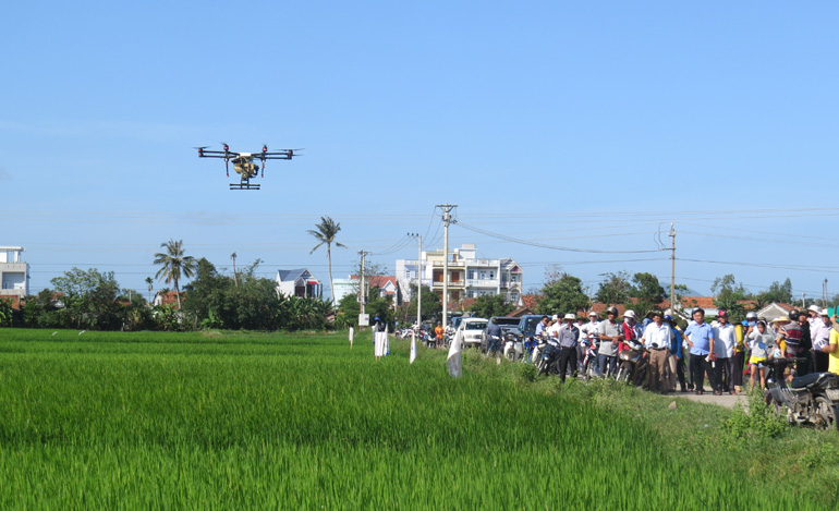 Nông dân các xã Hòa Phong, Hòa Phú và Hòa Mỹ Tây (huyện Tây Hòa) xem máy bay không người lái phun thuốc bảo vệ thực vật