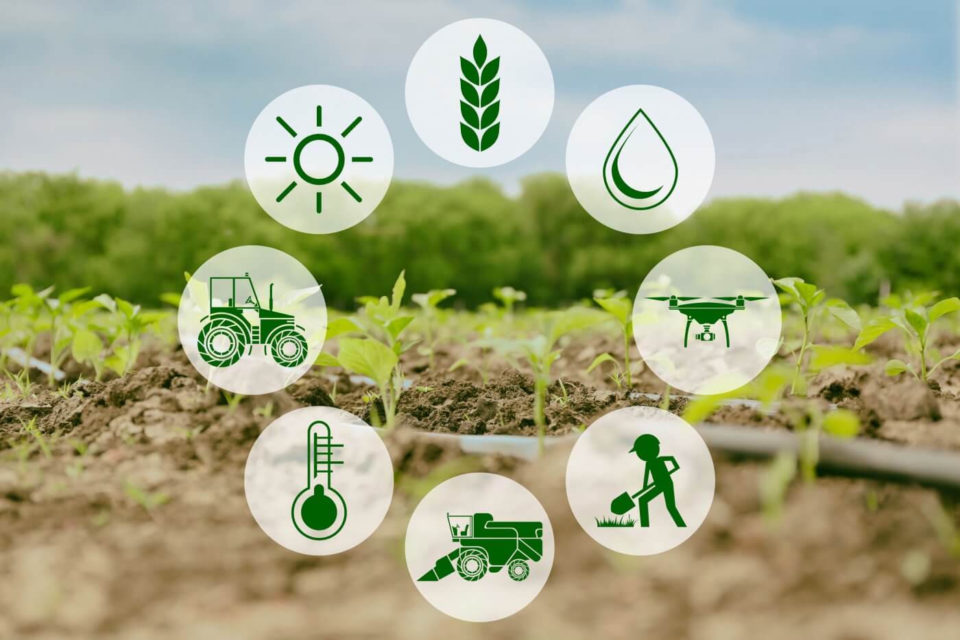 Khái niệm và xuất xứ của nông nghiệp 4.0