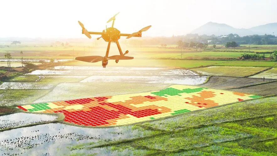 Ứng dụng UAV giám sát cây trồng