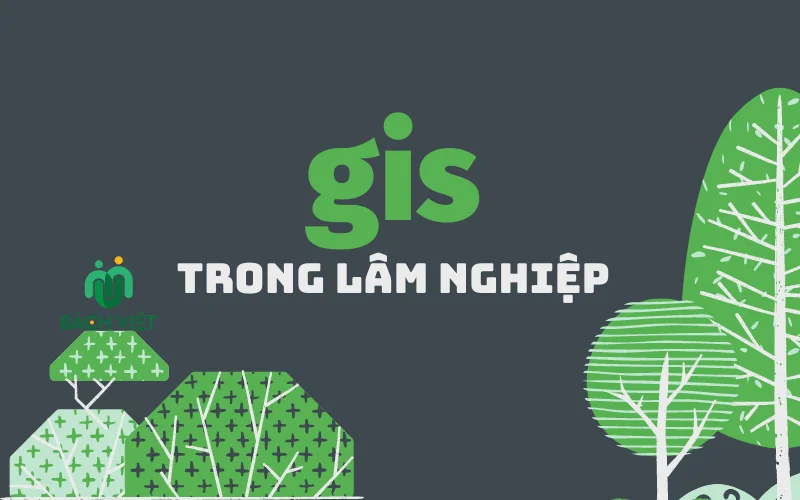 Tổng hợp các ứng dụng GIS trong môi trường đầy đủ 5 Trong ngành lâm nghiệp, Gis cũng để lại những ảnh hưởng rõ nét