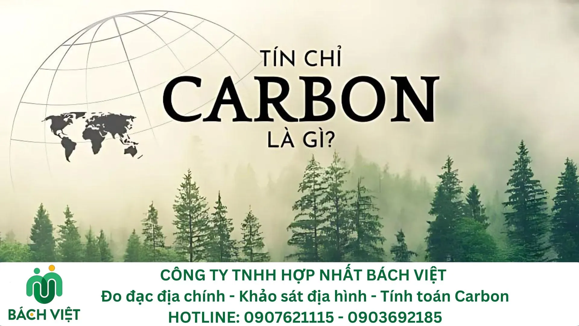 Thu Tiền Tỷ Từ Tín Chỉ Carbon Thị trường tín chỉ carbon tại Việt Nam