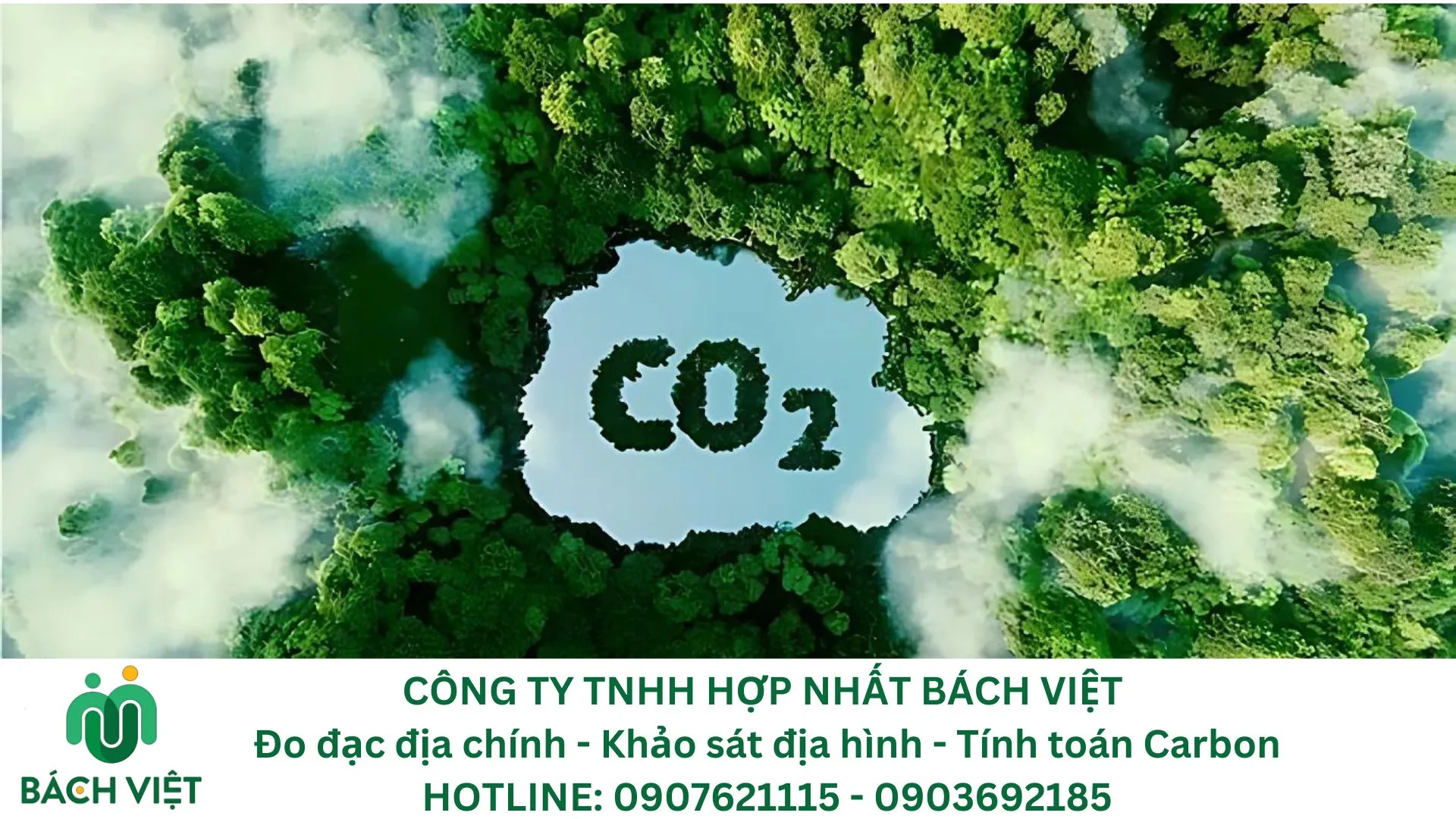 Thị trường Carbon 