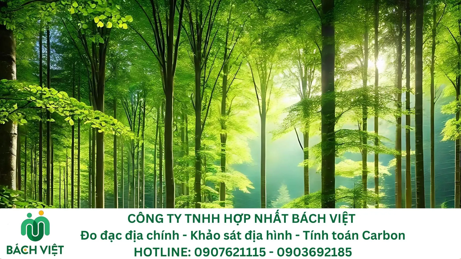 Tín chỉ carbon có từ đâu